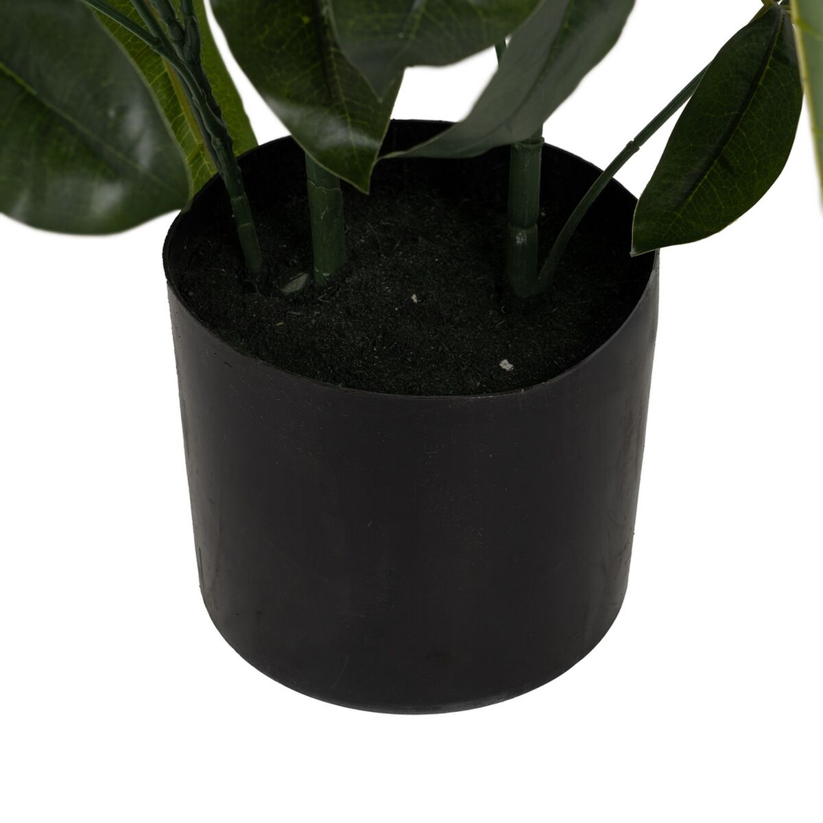 Decorative Plant 50 X 50 X 70 CM
